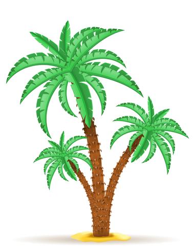 palmboom vectorillustratie vector