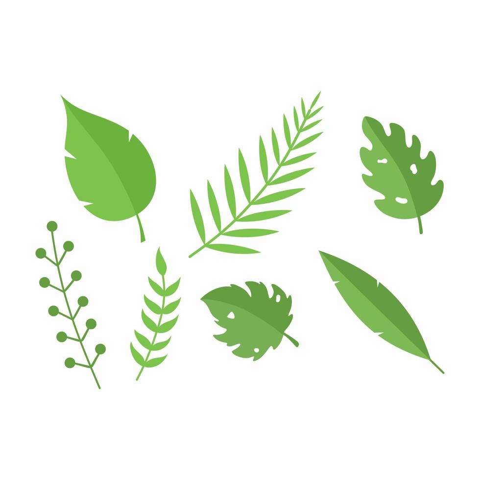 set van groene tropische takken. zomerplanten en bladeren voor ansichtkaartdecoratie. vector