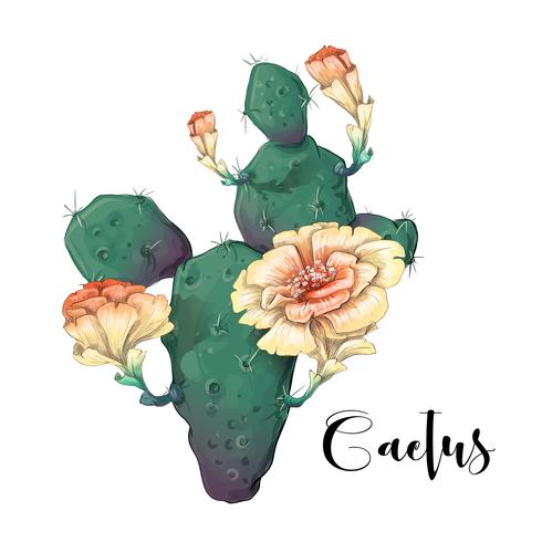 Cactus in woestijnvector en illustratie, hand getrokken die stijl, op witte achtergrond wordt geïsoleerd. vector