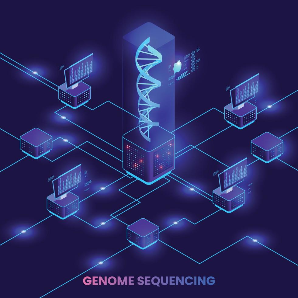 genetische manipulatie samenstelling vector