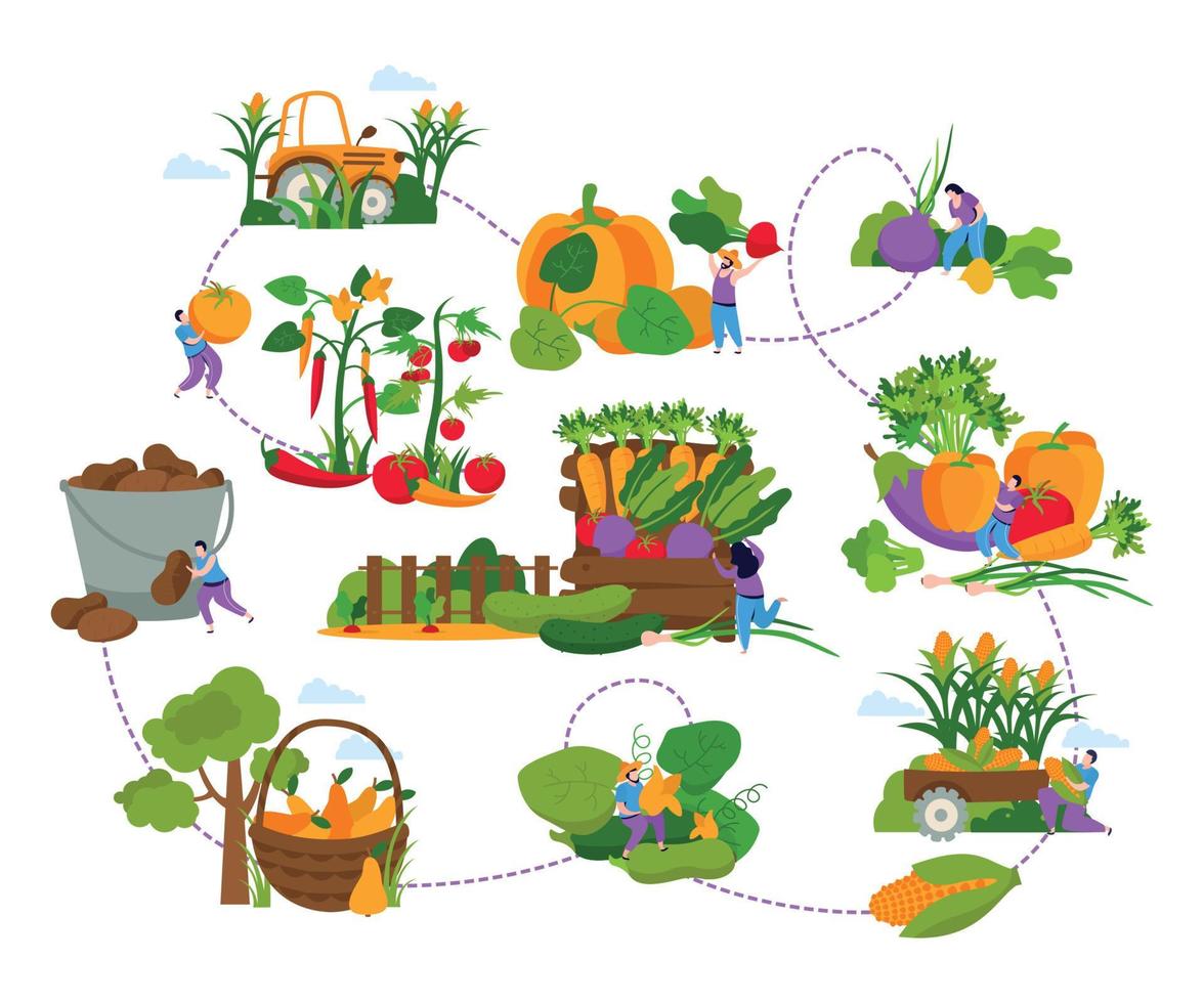 oogststroomschema platte samenstelling vector