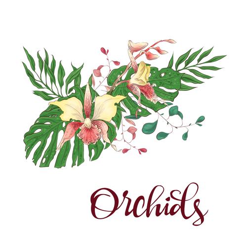 Bloemen ontwerpkader. Orchidee, eucalyptus, groen. Trouwkaart. vector