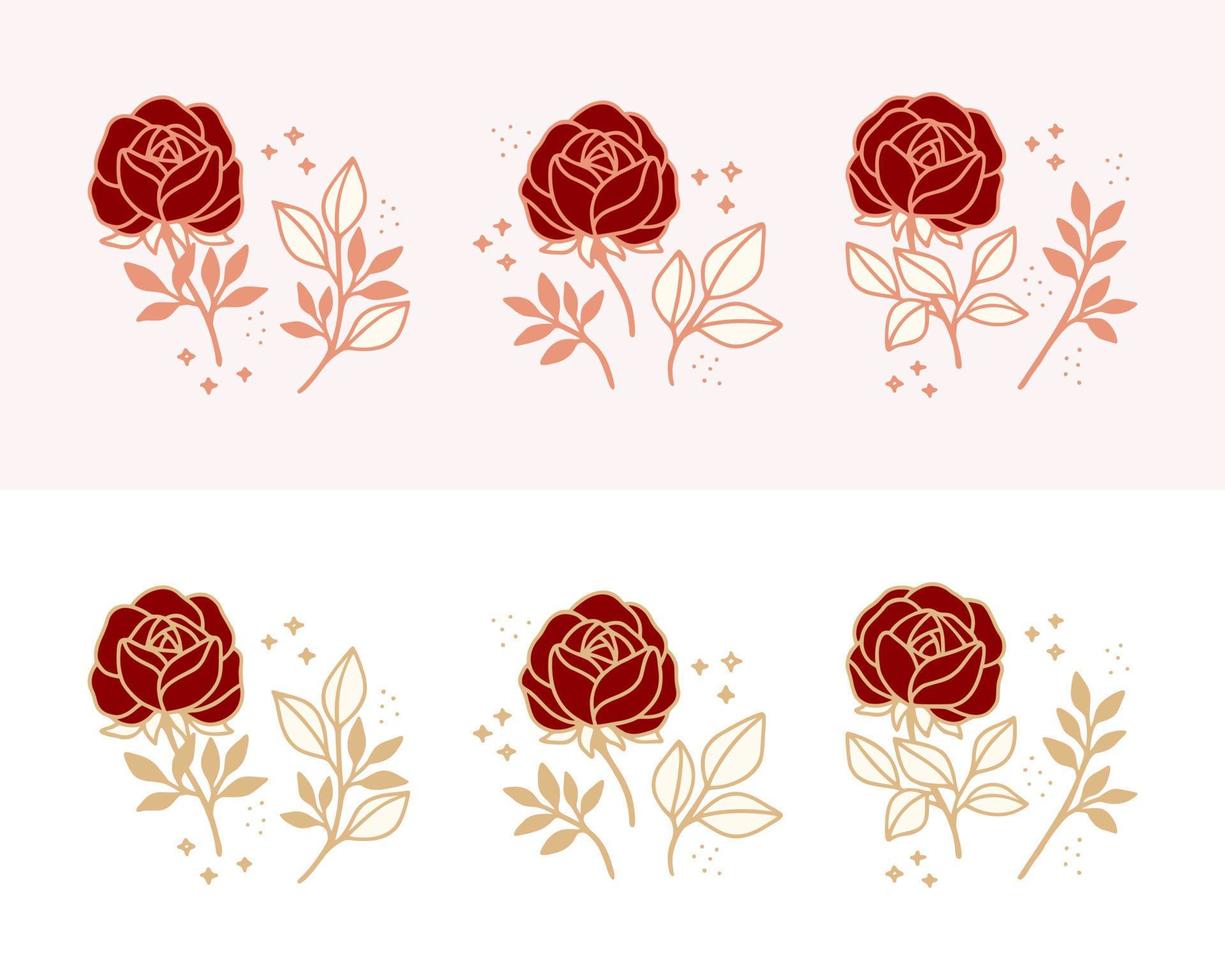 set handgetekende vintage pioenroos, roze bloem en bloemen blad tak lijn kunst vrouwelijke logo-elementen vector