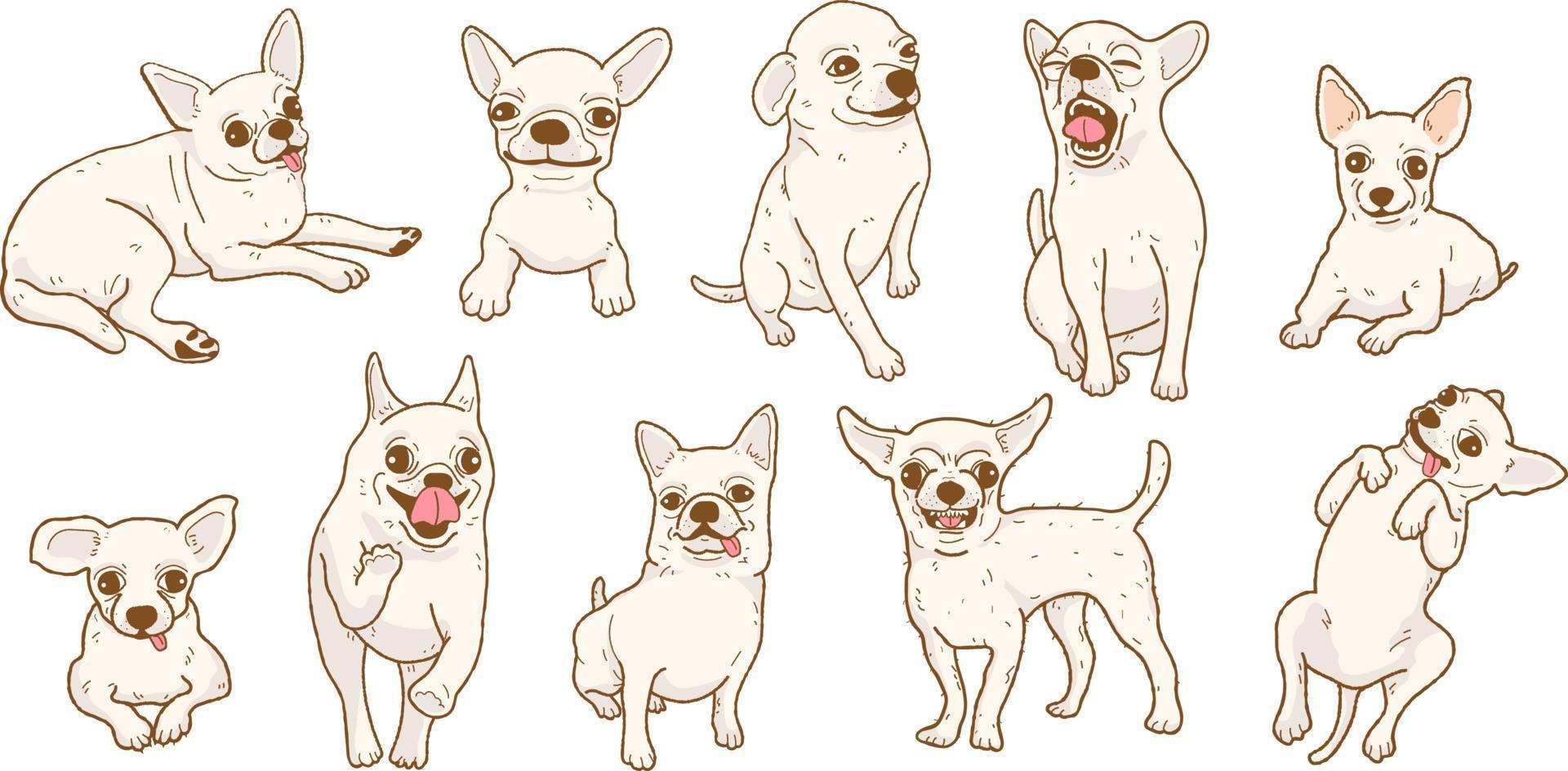 cartoon chihuahua hond illustratie set vector