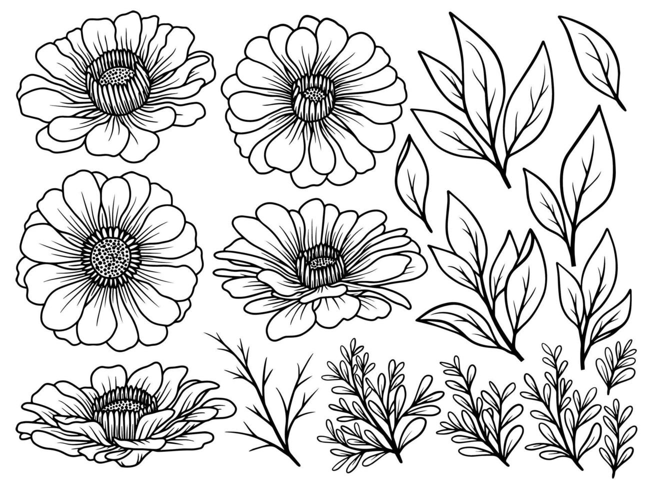 bloem lijntekeningen handgetekende collectie vector