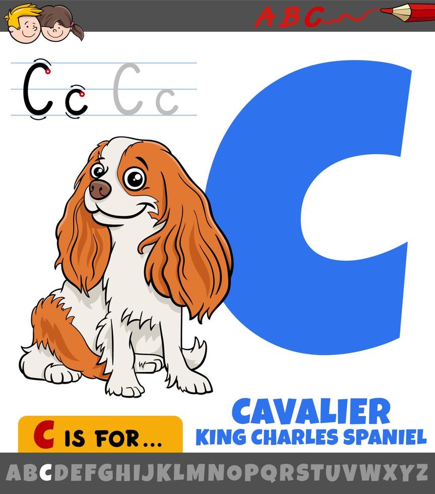 letter c uit alfabet met cavalier hond dier stripfiguur vector