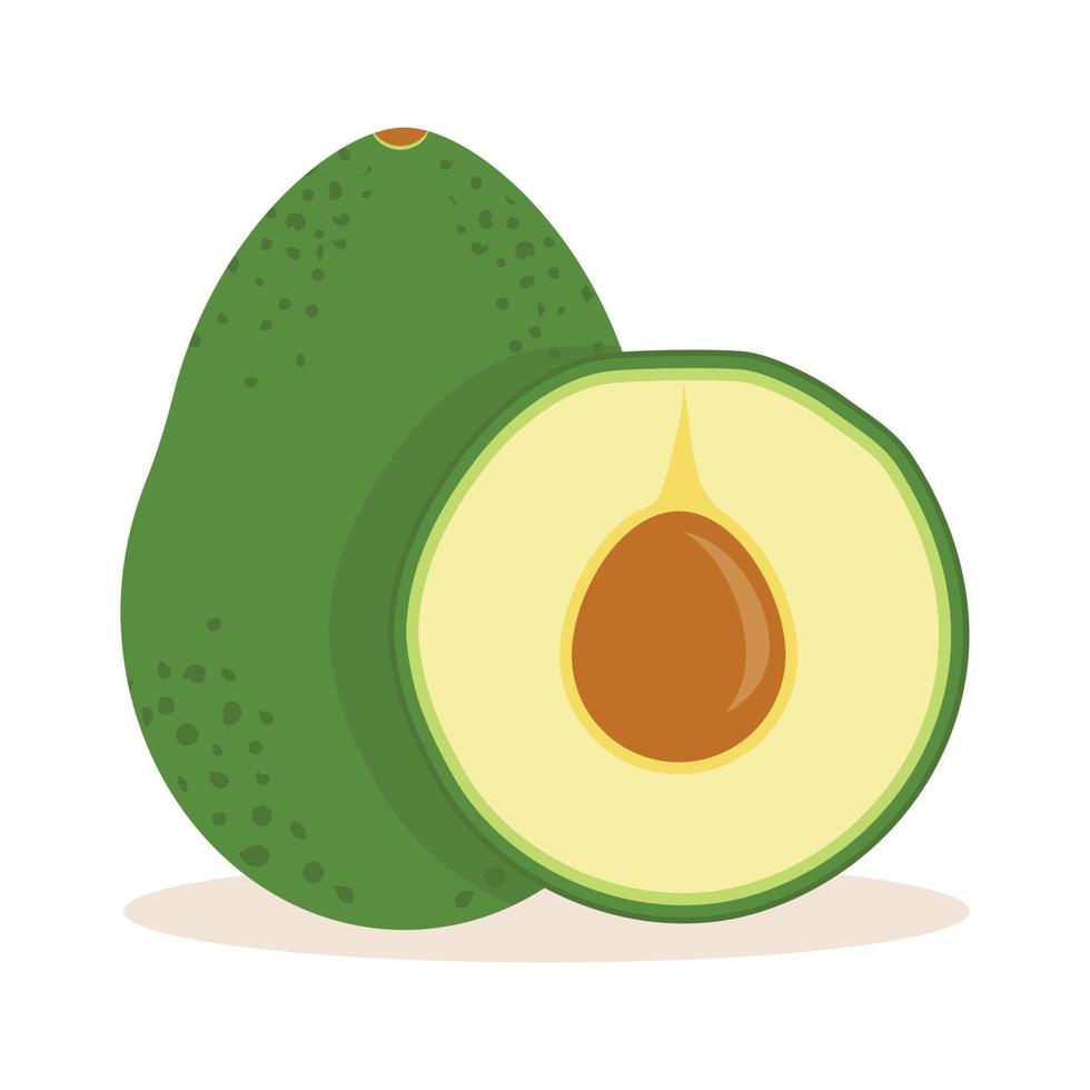 hele avocado en de helft naast elkaar in platte stijl vector