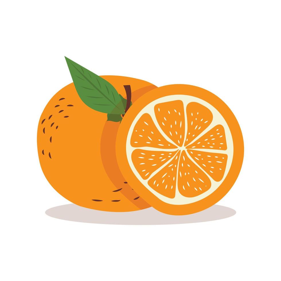 hele sinaasappel en de helft naast elkaar in platte stijl vector