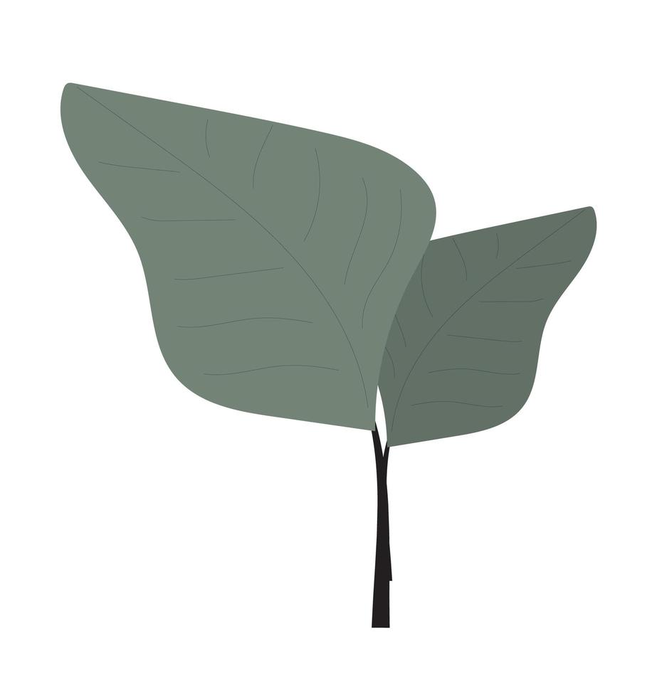 monstera tak vector. huis plant geïsoleerd op een witte achtergrond. vector