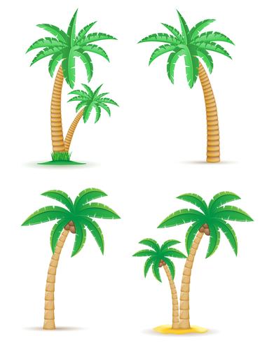 palm tropische boom vastgestelde pictogrammen vector illustratie