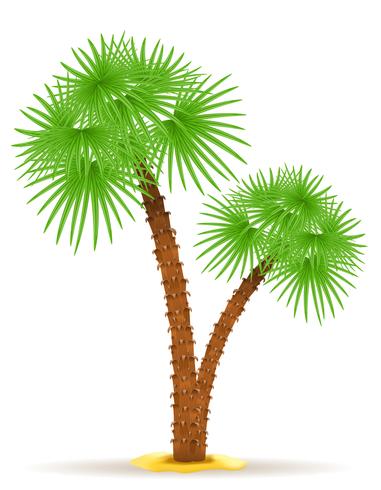 palmboom vectorillustratie vector