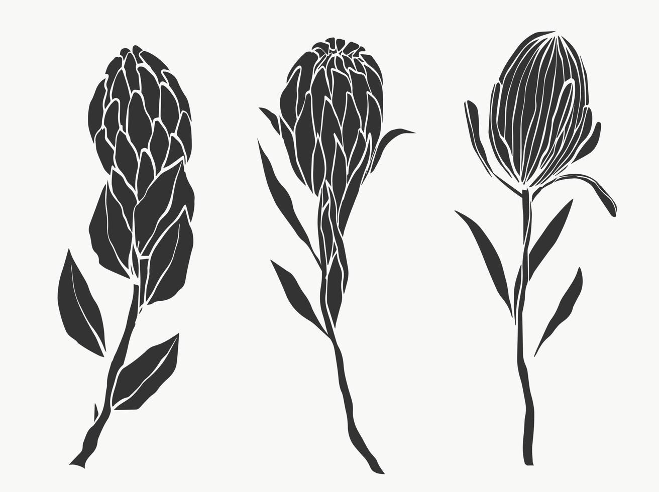 set van protea bloem en tropische bladeren lijn op witte achtergrond. vakantiecadeau, boeket, knoppen. een mooie mode bloem macro-opname. vector illustraties ontwerp