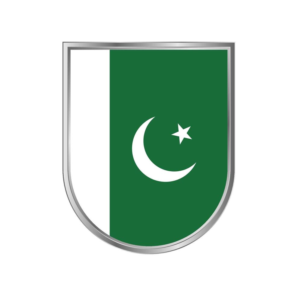 vlag van pakistan vector