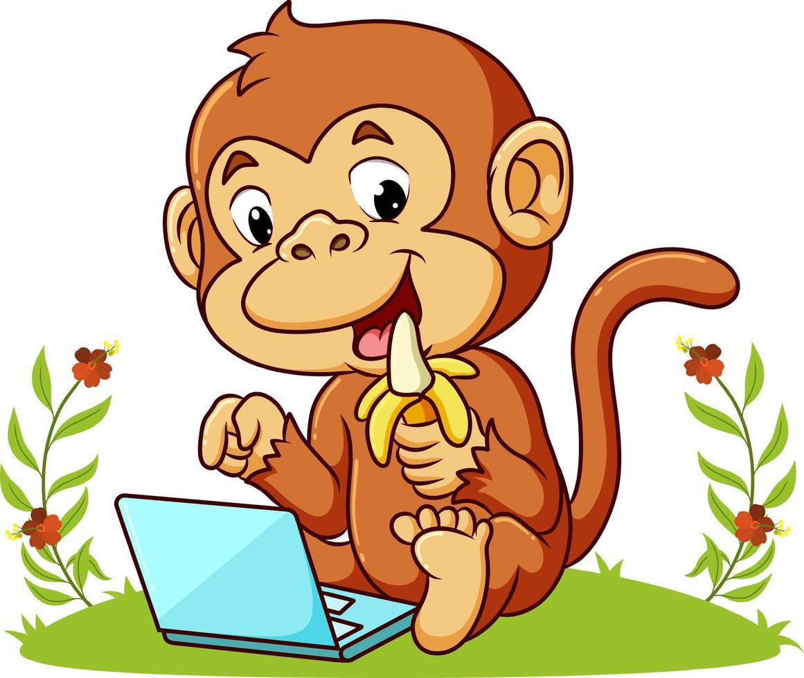 de aap eet de banaan en speelt op de laptop vector