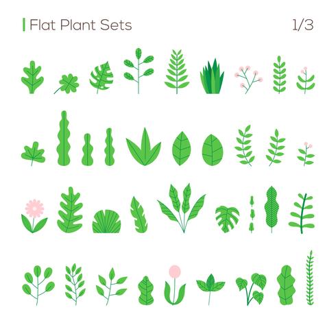 vector set van verschillende bladeren en planten in een vlakke stijl. planten geïsoleerd op witte achtergrond instellen.