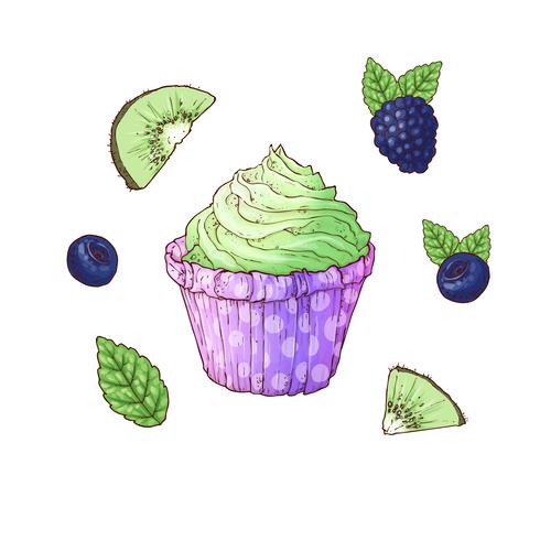 Stel cupcake bosbes blackberry kiwi. Vector illustratie. Handtekening