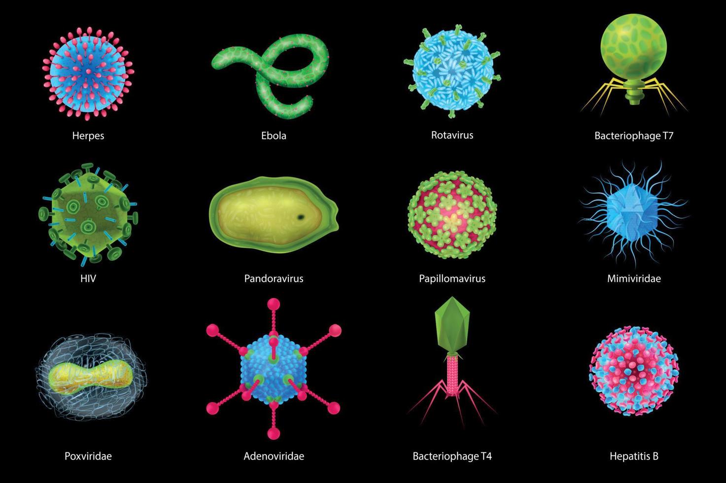 virussen realistische set vector