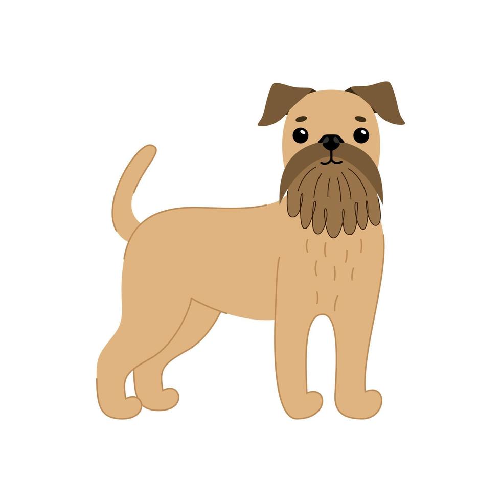 hondenras schattig griffon brussel bruin. vectorillustratie van gezelschapsdier vector