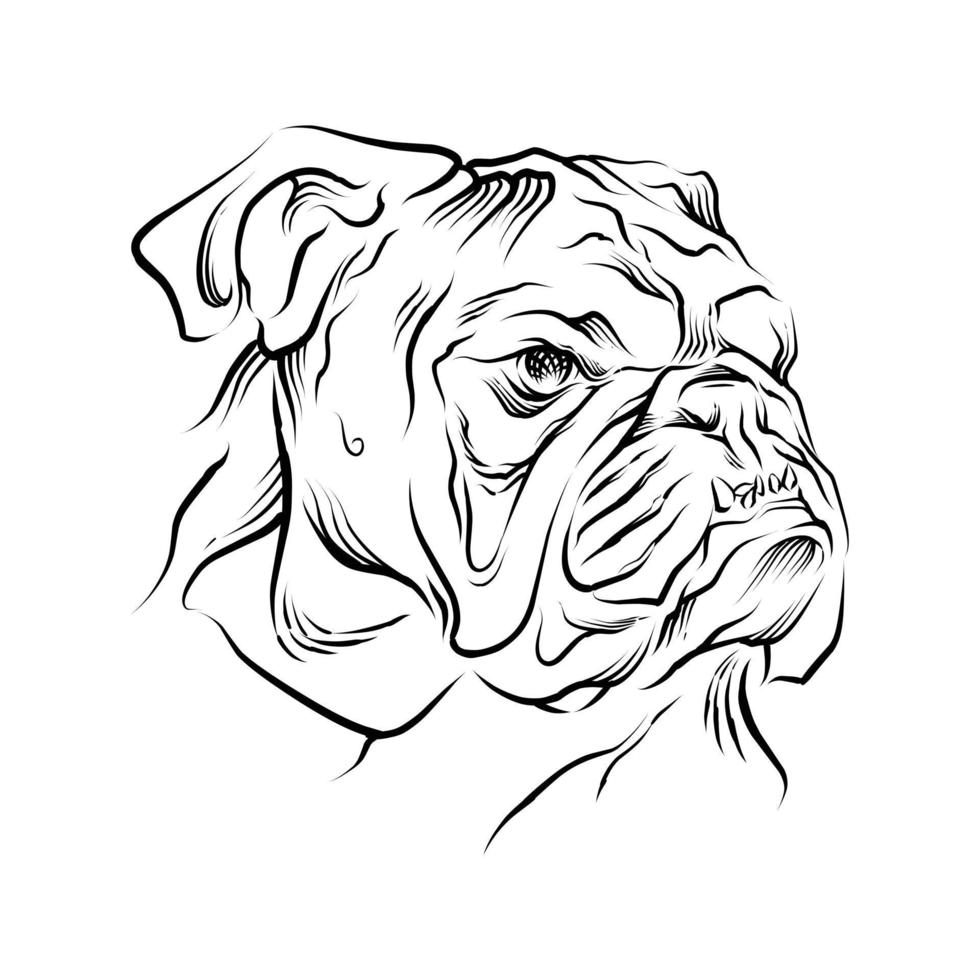 stier hond hoofd hand getekende illustratie vector