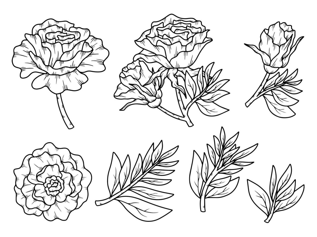 bloem lijntekeningen arrangement vector