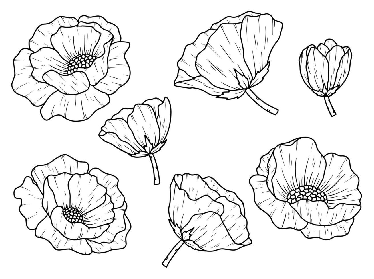 bloem lijntekeningen arrangement vector