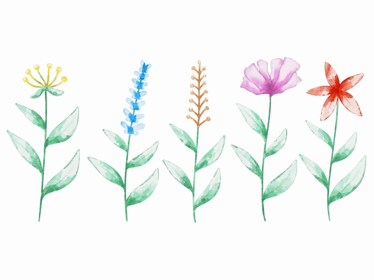 set van botanische bloemen aquarel vector