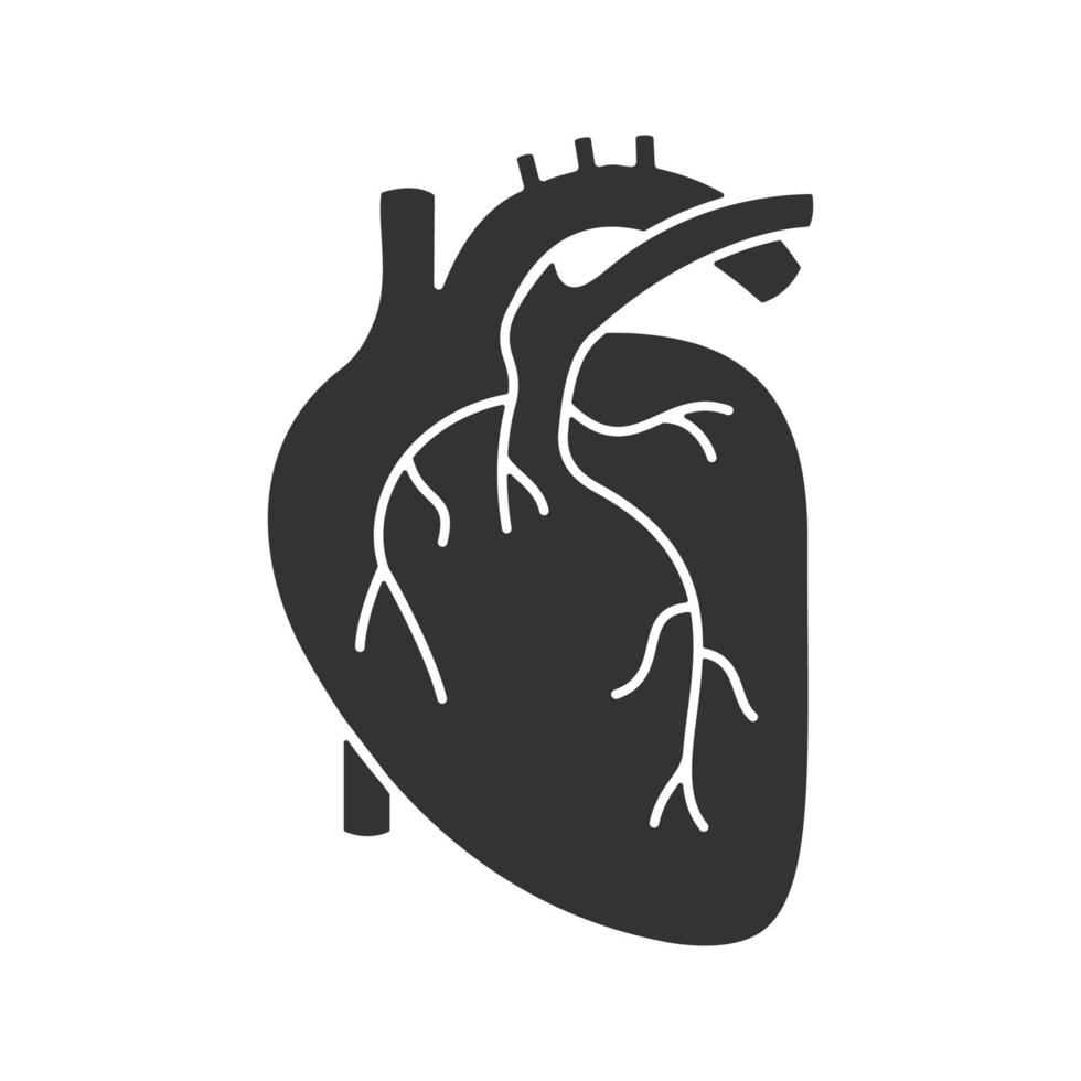 menselijk hart anatomie glyph pictogram. silhouet symbool. negatieve ruimte. vector geïsoleerde illustratie
