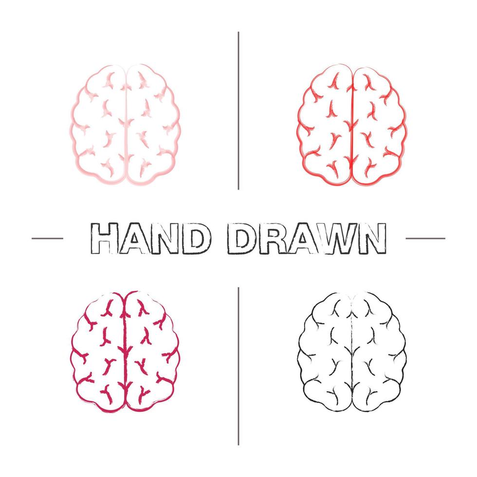 menselijk brein hand getrokken pictogrammen instellen. zenuwstelsel orgaan. kleur penseelstreek. geïsoleerde vector schetsmatige illustraties