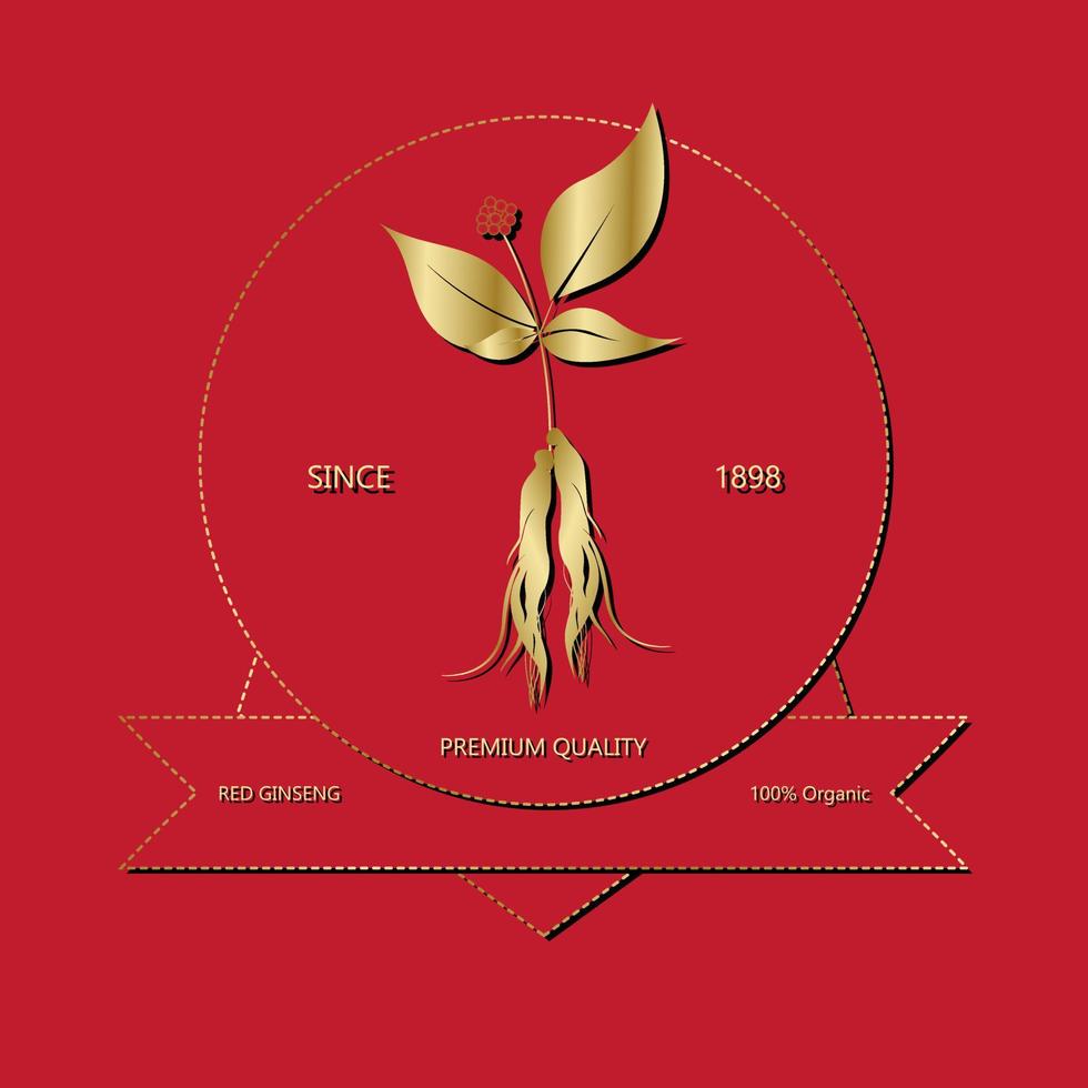 Koreaanse of Chinese rode ginsengwortel, tekstlabel in Koreaanse gecultiveerde ginseng. ginseng symbool voor koreaanse cosmetica, chinese geneeskunde, voedingsmiddelen, theepakketten. vector illustratie