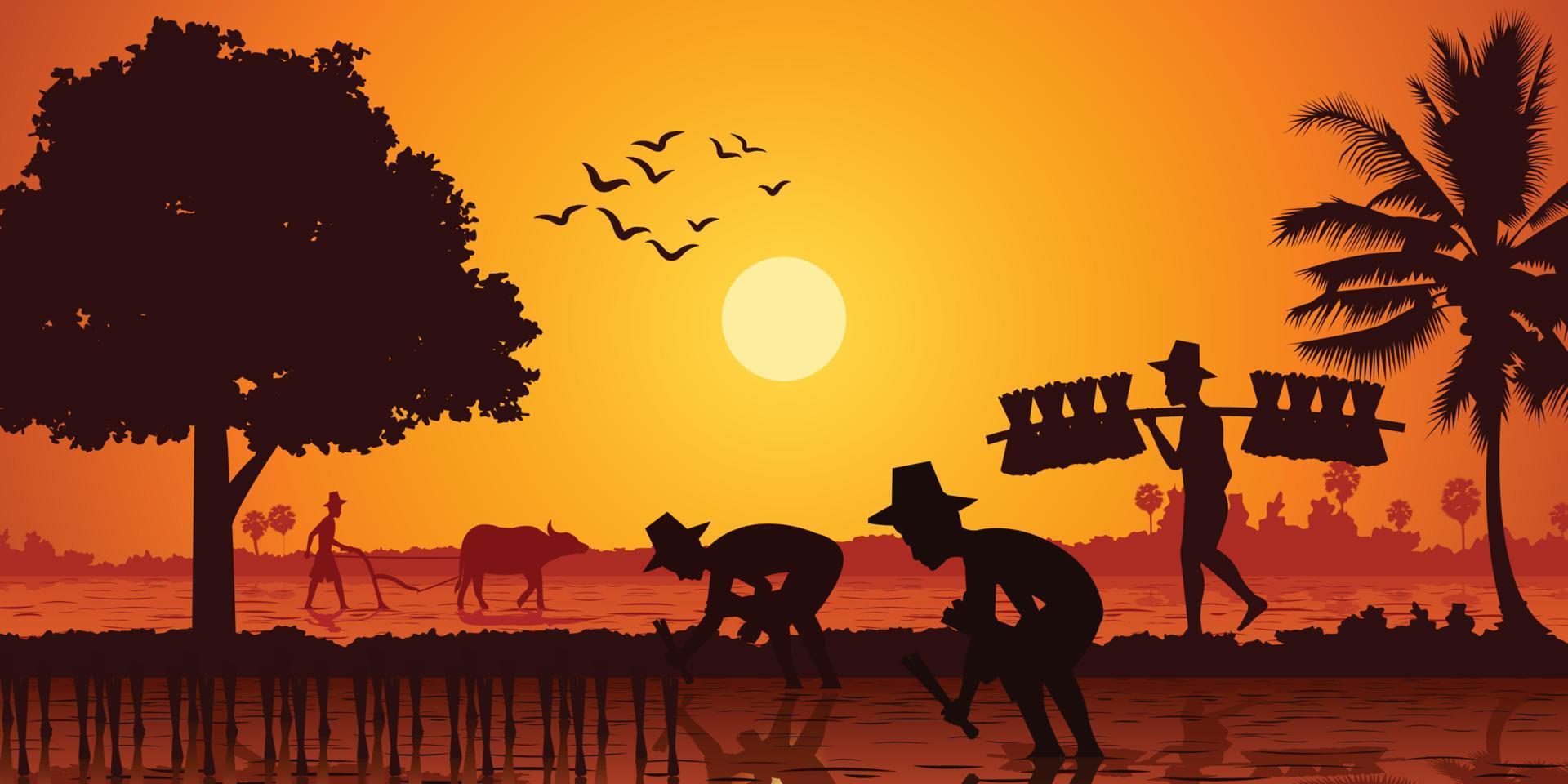 landleven van azië boer plant rijst terwijl een man rijstzaailing en een ander ploegveld draagt door buffel op zonsopgangtijd, silhouetstijl vector