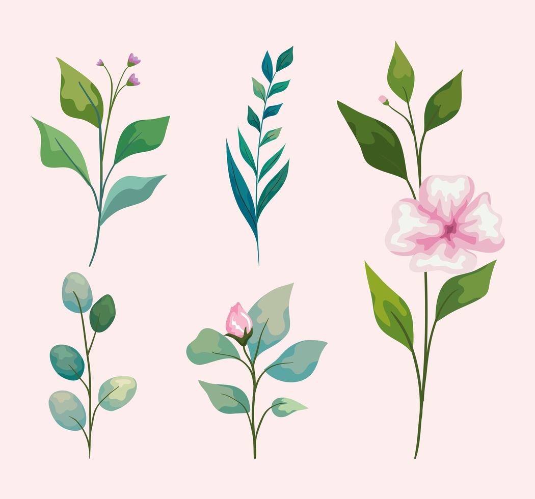 bloemen met bladeren icon set vector