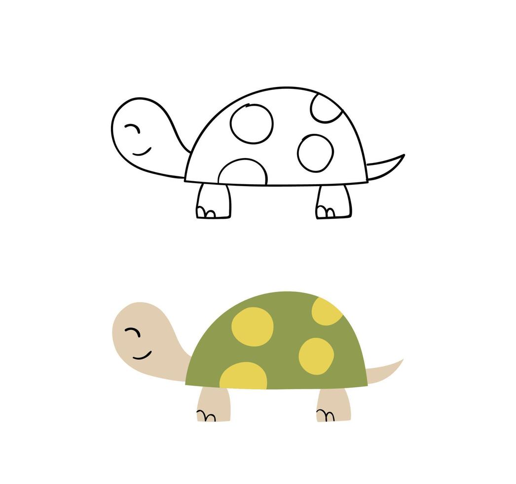 schattige schildpad hand getekende vectorillustratie. contour- en kleurenversie. vector