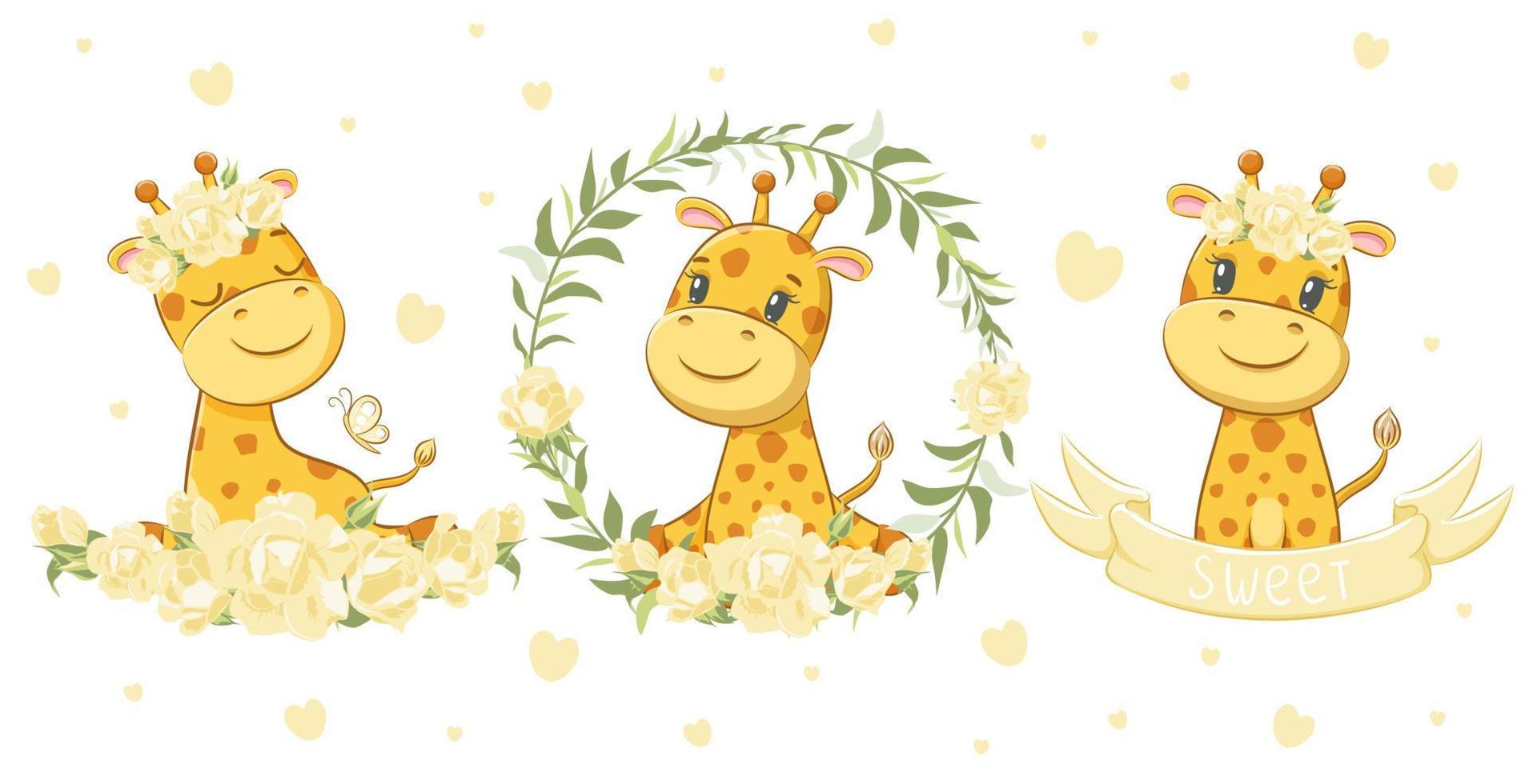 een set van 3 schattige en lieve giraffen. vectorillustratie van een cartoon. vector