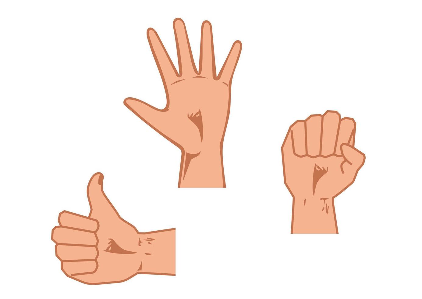 drie verschillende handposities. gesloten hand, open hand en like vector
