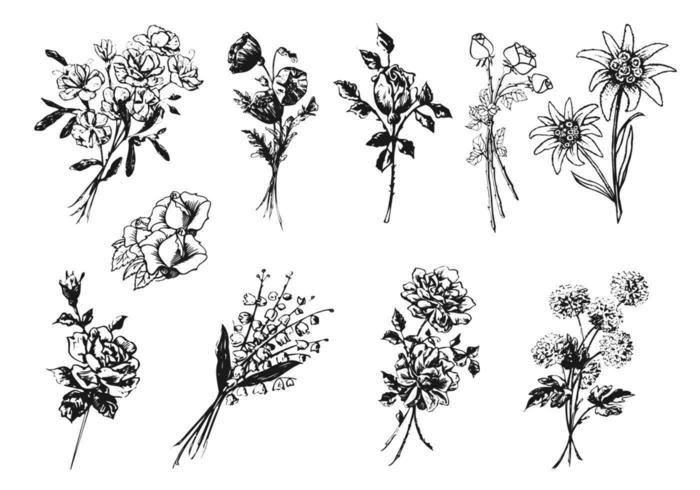 Gegraveerde Flower Vector Pack