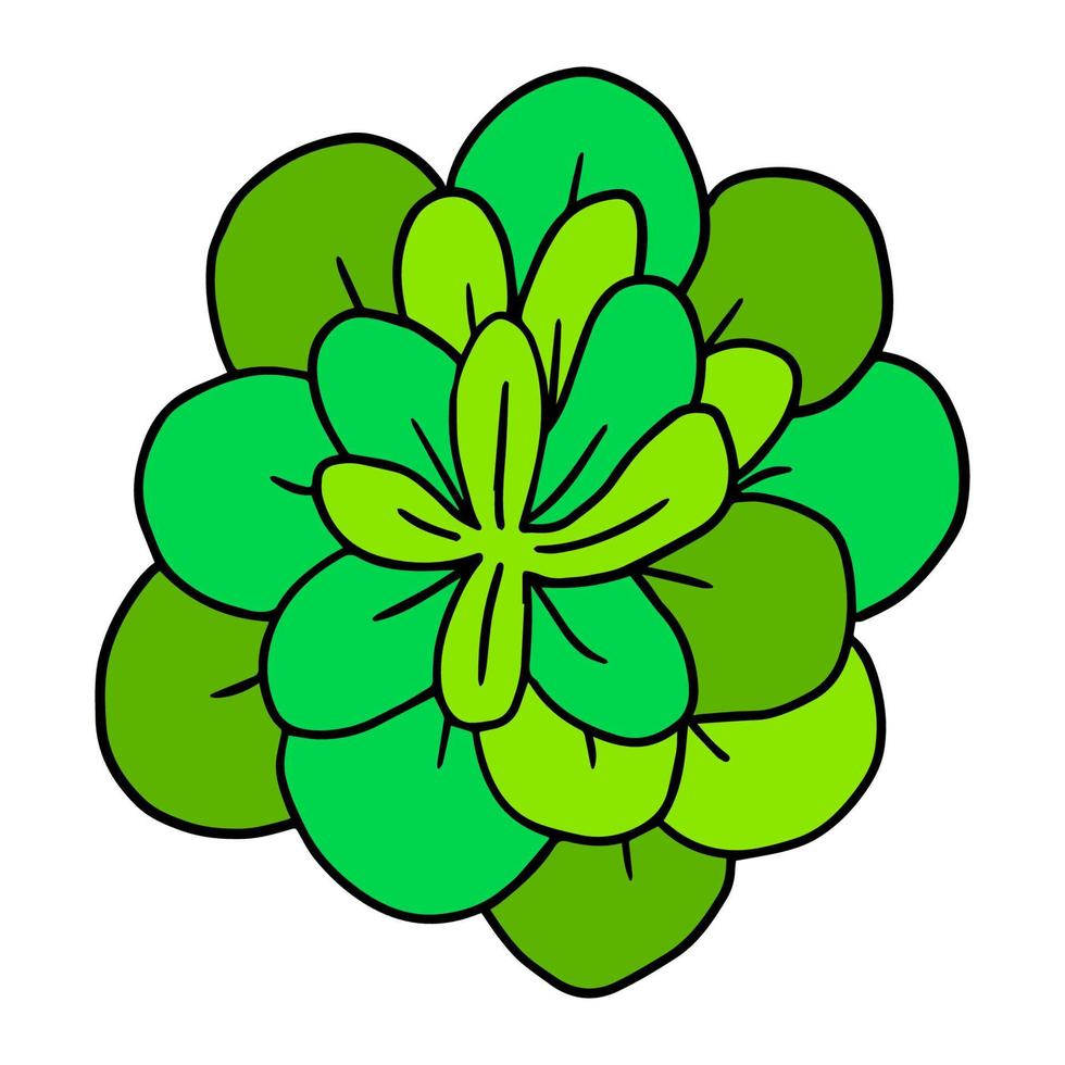 schattige doodle succulente bloem geïsoleerd op een witte achtergrond. cartoon plant icoon. struik geïsoleerd. vector