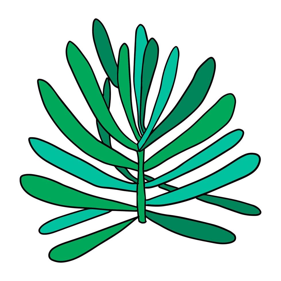 schattige doodle succulente bloem geïsoleerd op een witte achtergrond. cartoon plant icoon. struik geïsoleerd. vector