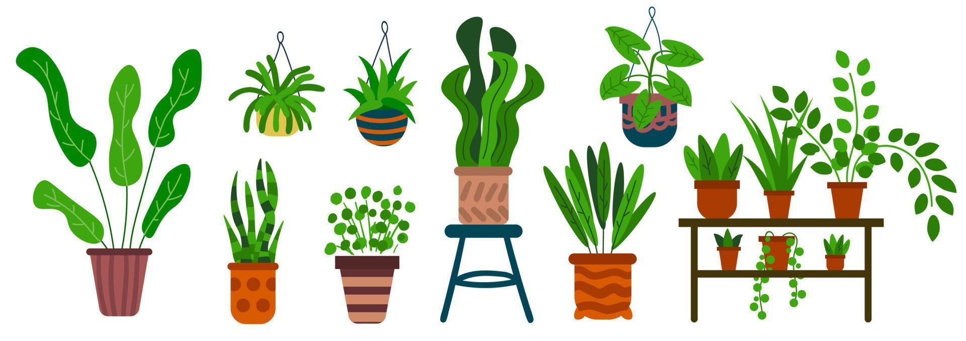 cartoon set van planten in potten geïsoleerd op een witte achtergrond. huisbloemen in vlakke stijl. vector