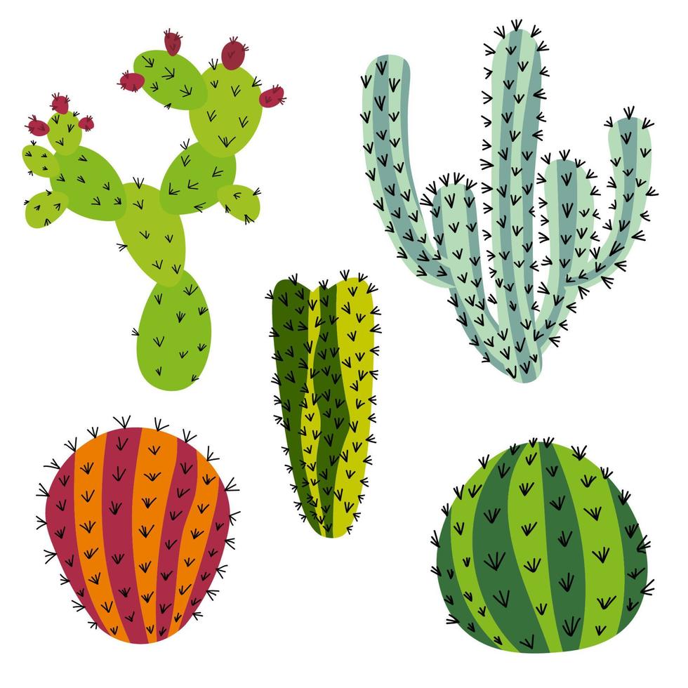 set van cactus in vlakke stijl geïsoleerd op een witte achtergrond. vector