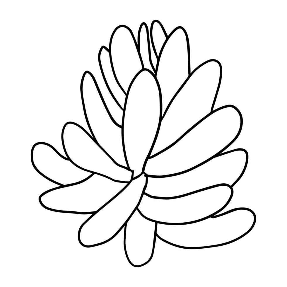 schattige doodle succulente bloem geïsoleerd op een witte achtergrond. cartoon plant icoon. struik geïsoleerd. vector