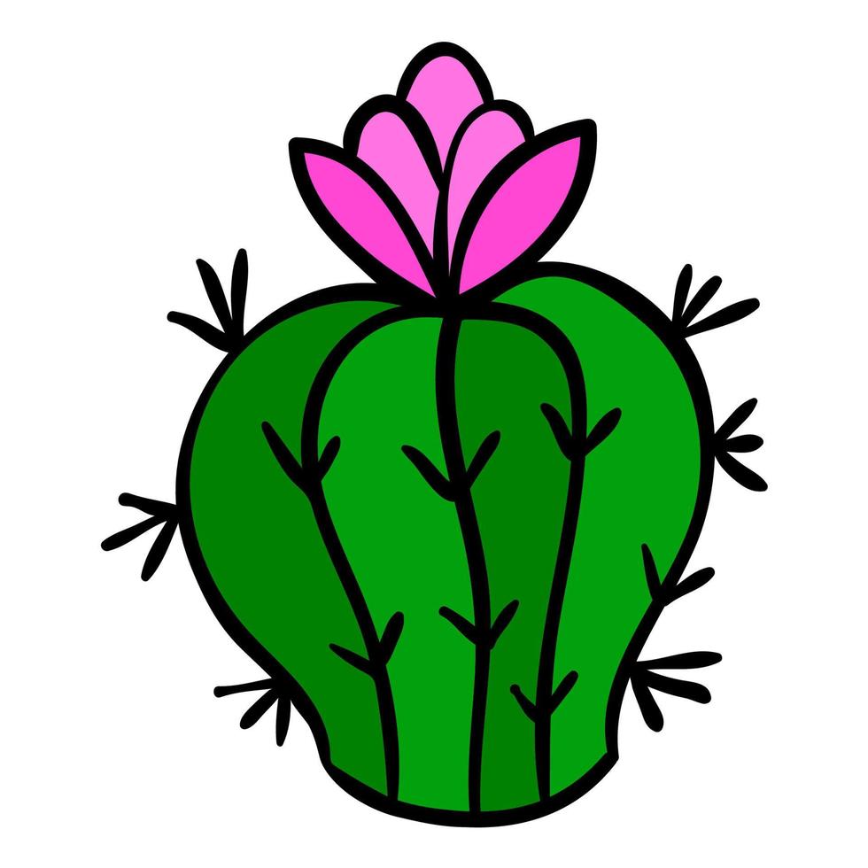 cartoon cactus geïsoleerd op een witte achtergrond. vector