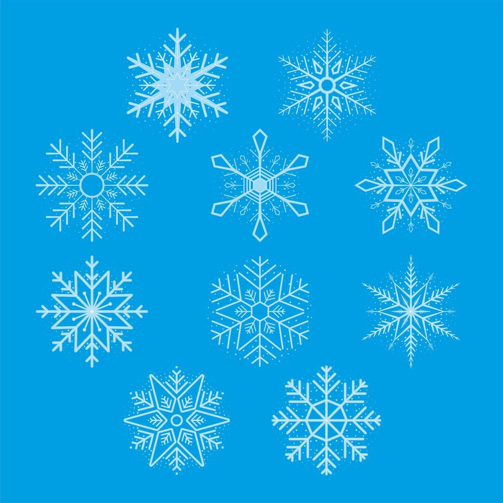 tien sneeuwvlokken winter pictogrammen vector