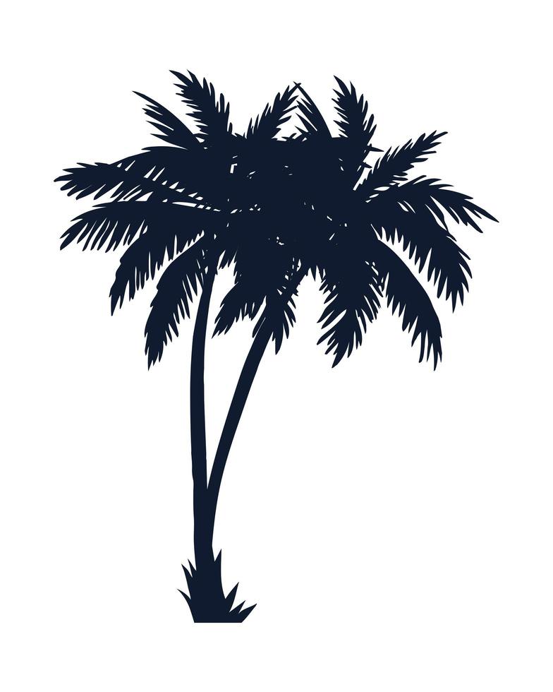palmen tropische planten vector
