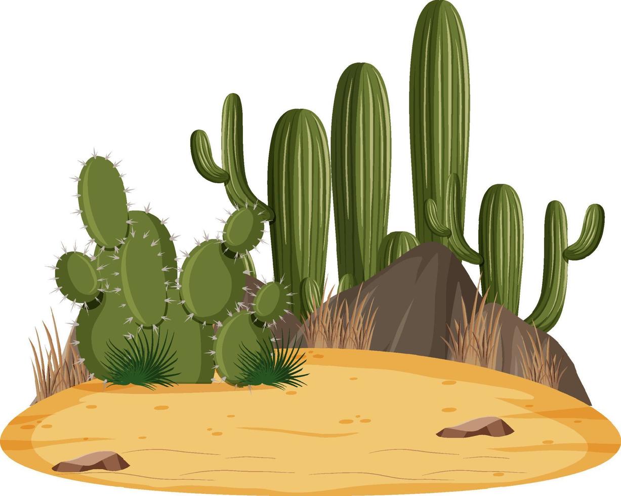 geïsoleerd woestijnlandschap met cactus vector