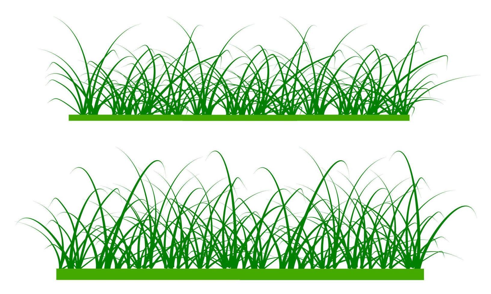 vector groen gras geïsoleerd op een witte achtergrond