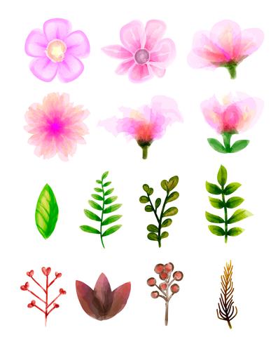Vector bloemenset. Kleurrijke bloemencollectie met bladeren en bloemen, tekening aquarel.