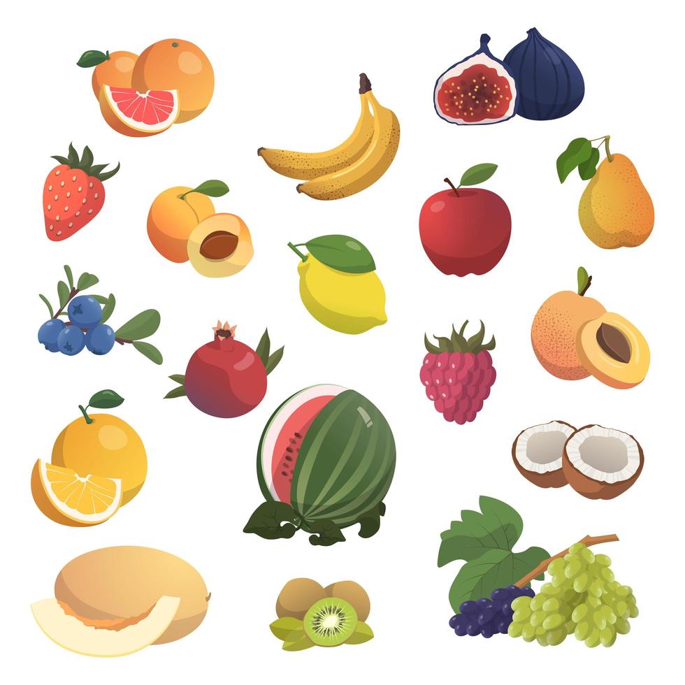 set van 18 stuks van verschillende vruchten op een witte achtergrond - vector