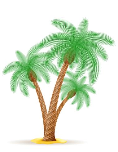 palmboom vectorillustratie vector