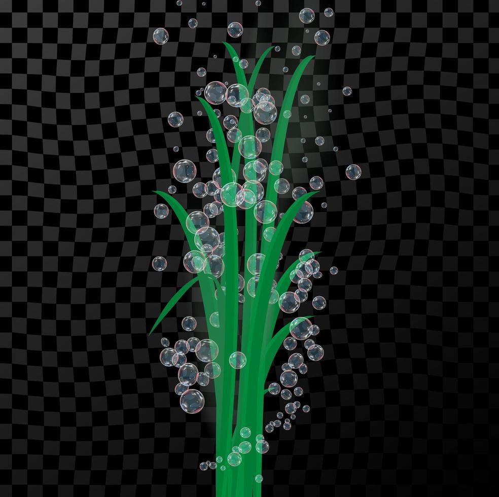 vectorachtergrond met groene onderwaterplanten, algen en bubbels. voor webdesign, print, ansichtkaarten, posters, tijdschriften, kranten, boekjes, stickers. vector