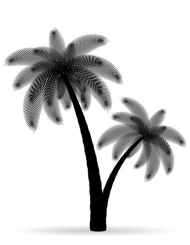 palmboom zwarte omtrek silhouet vectorillustratie vector